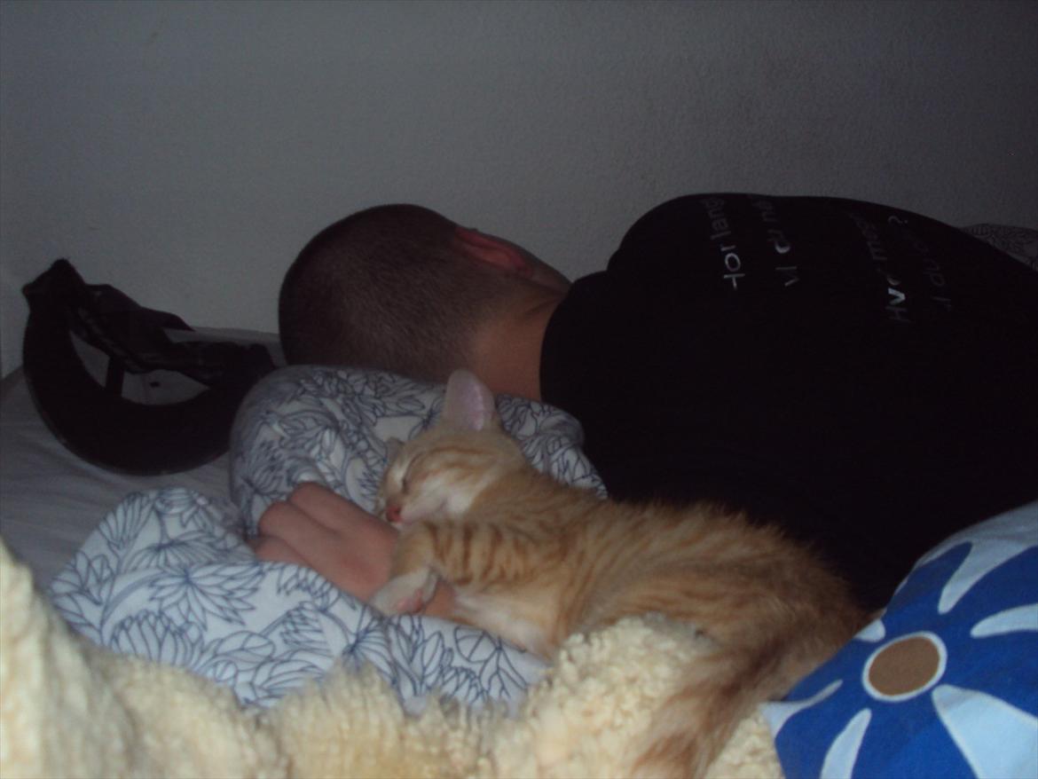 Huskat Pelle - mine to ynglingsdrenge :-)
 billede 7