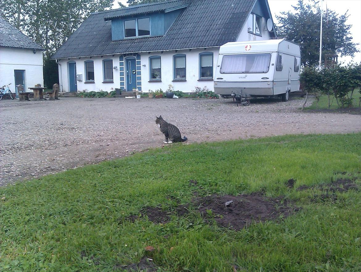 Huskat Unavngivet billede 8