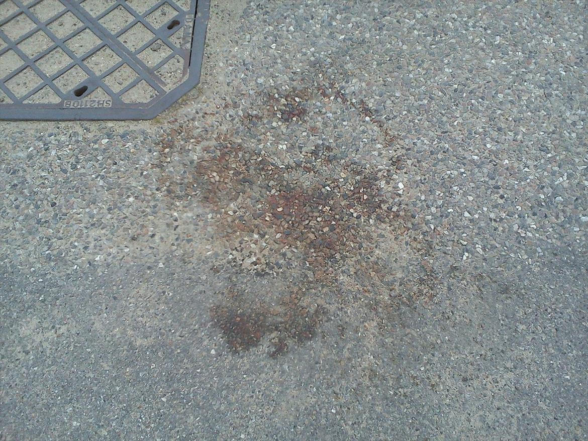 Huskat Bivskid R.I.P søndag d. 2 oktober 2011 - Pivskids døds sted :( billede 16