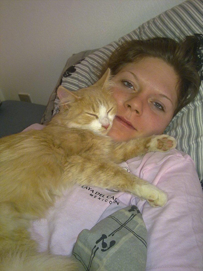 Huskat Oscar - Kælepotten Oscar billede 4