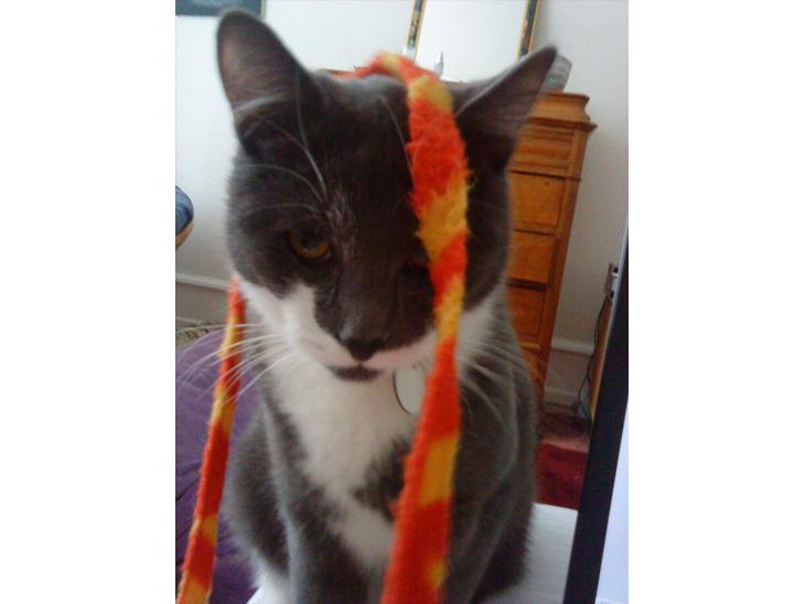 {{currentPhoto.altText}} billede {{currentPhoto.number}}