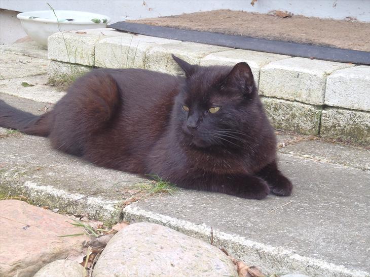 {{currentPhoto.altText}} billede {{currentPhoto.number}}