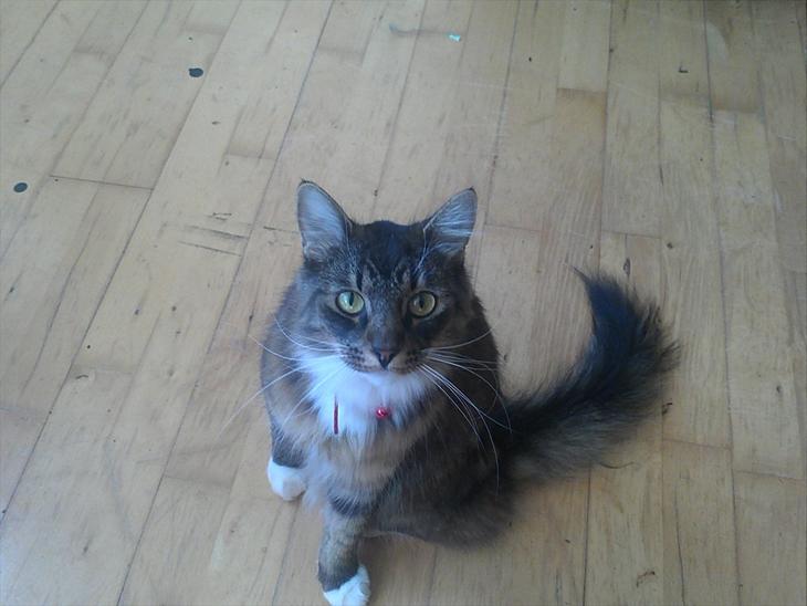 {{currentPhoto.altText}} billede {{currentPhoto.number}}