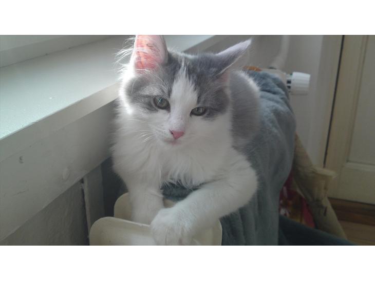 {{currentPhoto.altText}} billede {{currentPhoto.number}}