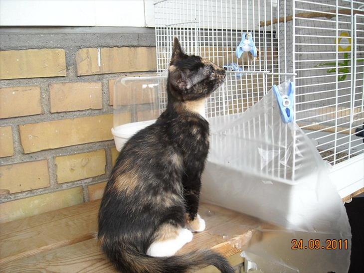 {{currentPhoto.altText}} billede {{currentPhoto.number}}