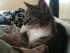Huskat Miss'Marie