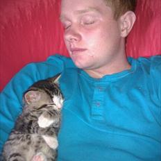 Blanding af racer Milo 