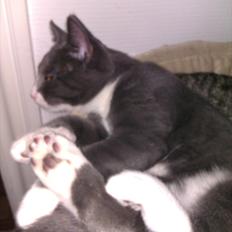 Blanding af racer Ufo