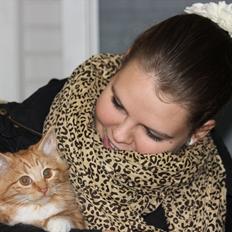 Norsk Skovkat Malou Lousen