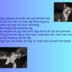 Blanding af racer Tiger<3 :-D