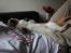 Ragdoll Calipso