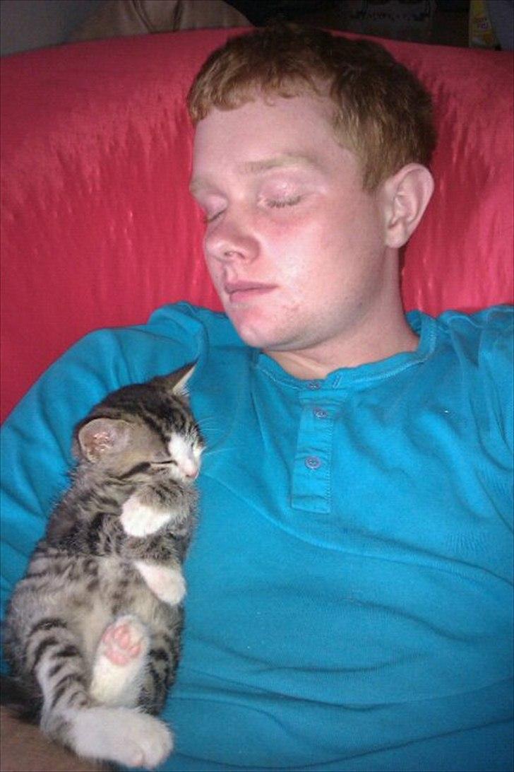 Blanding af racer Milo  - Min bedste ven og milo billede 3