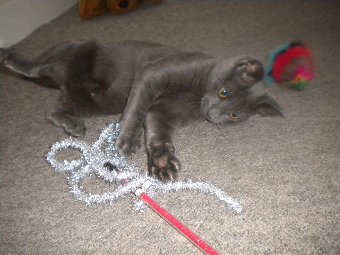 Huskat my - Ej hvor fedt der er en der gider lege igen idag :p  billede 6