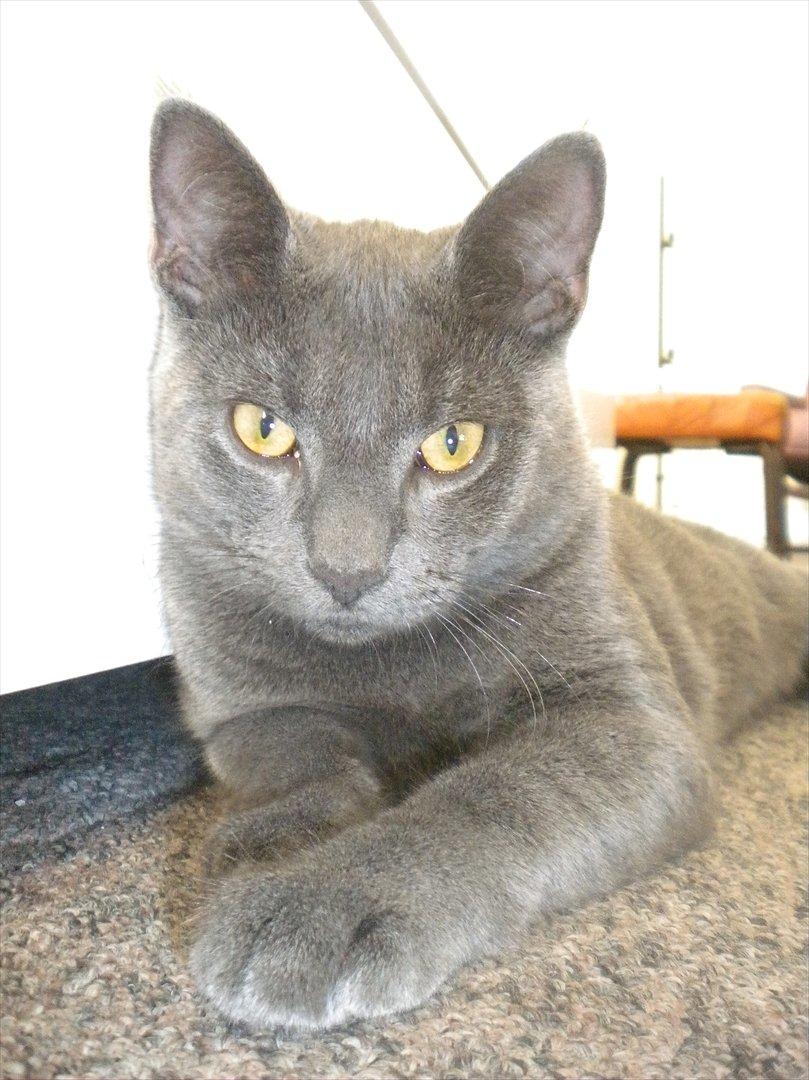 Huskat my billede 10