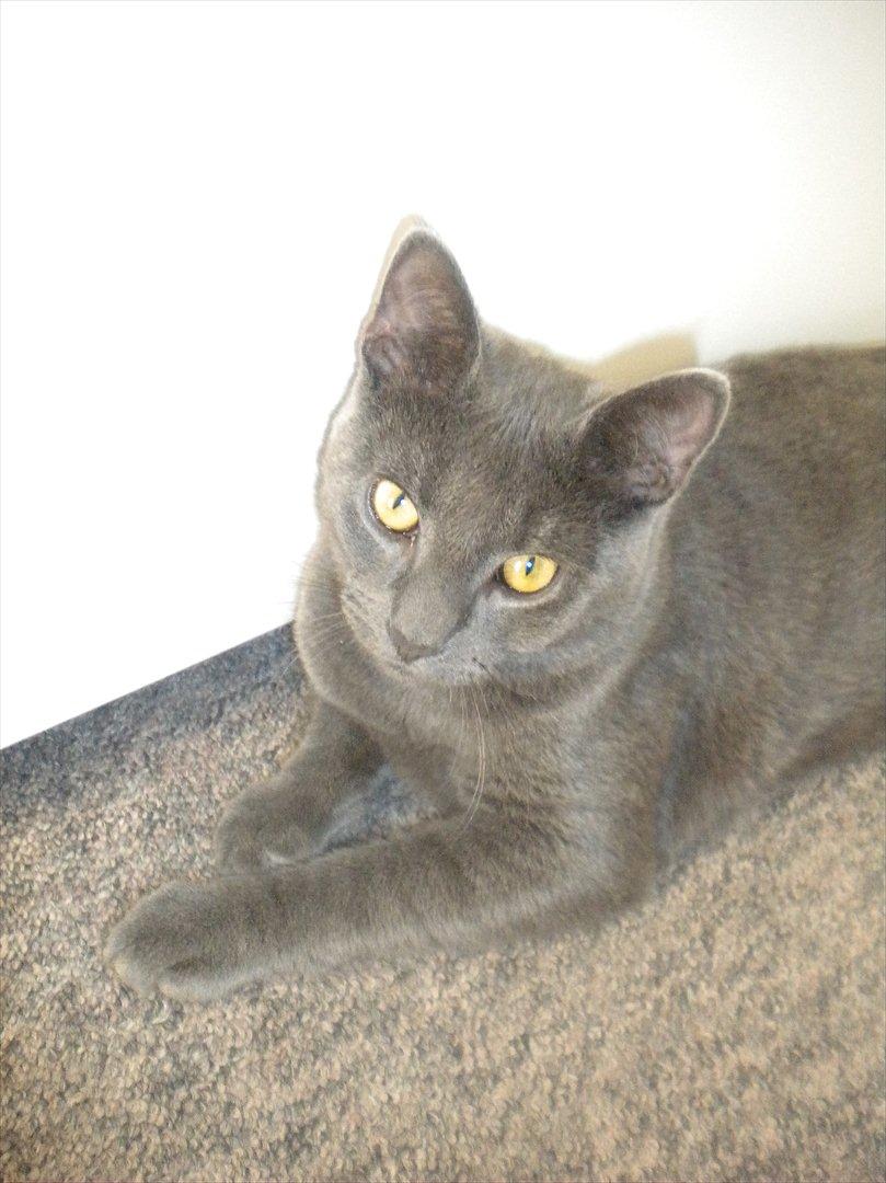 Huskat my billede 11