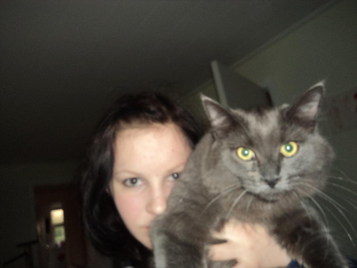 Blanding af racer Findus - Findus og Laura billede 6