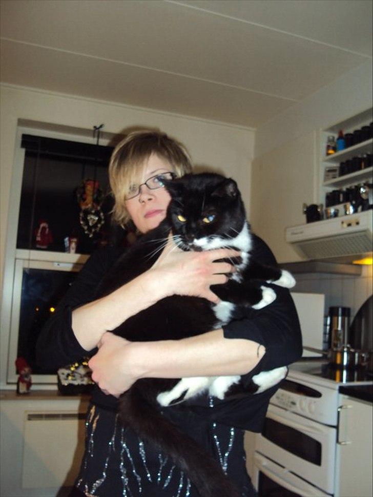 Huskat Lucky *Mit et og alt* R.I.P - Jul 09 billede 5