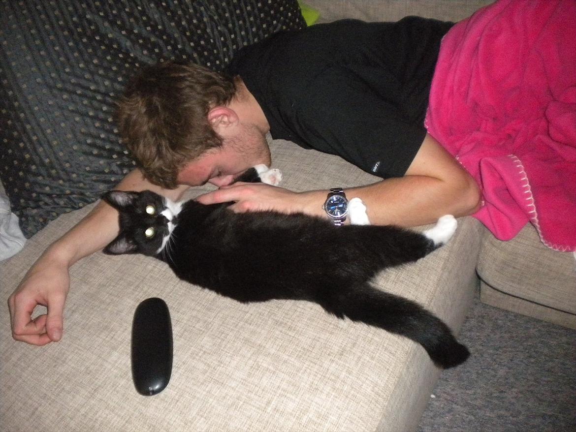 Huskat Anders  billede 10