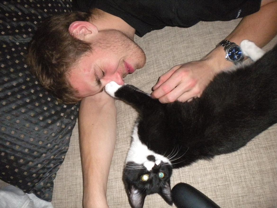 Huskat Anders  billede 11