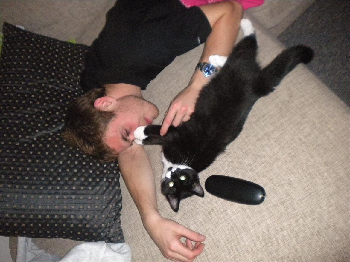 Huskat Anders  billede 12