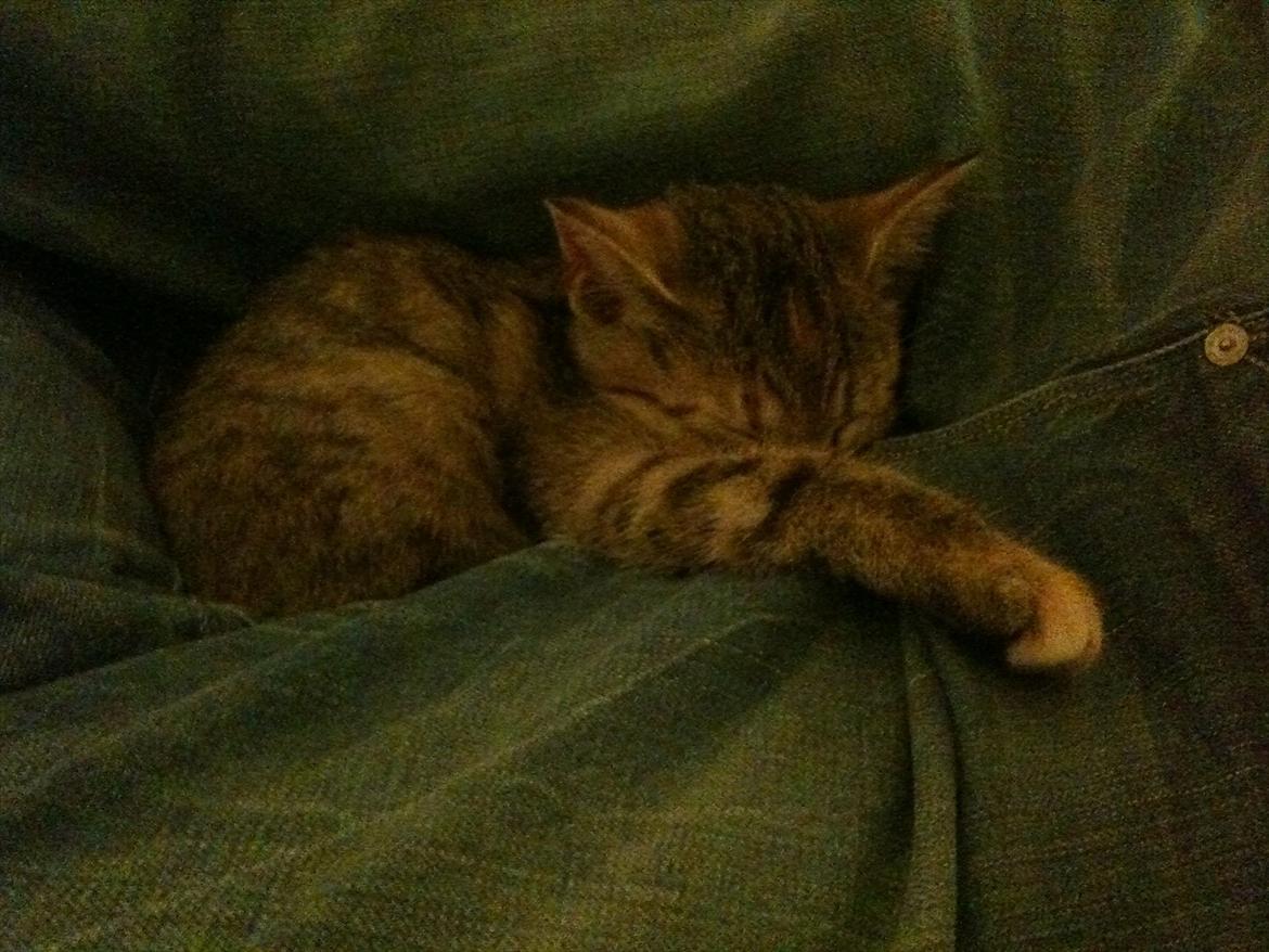 Blanding af racer Sniper billede 7