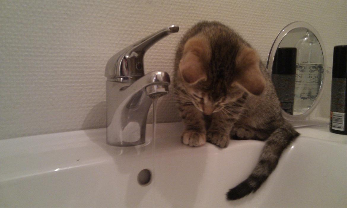 Blanding af racer Sniper billede 10