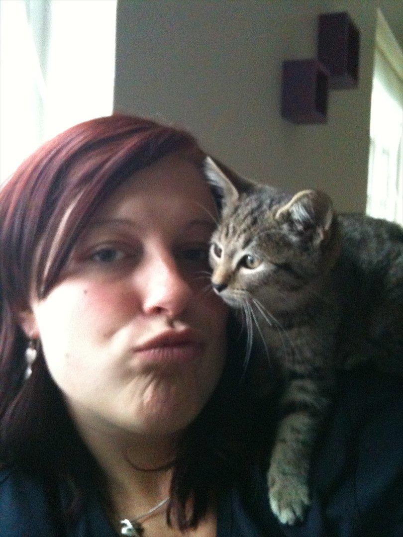 Huskat Oliver billede 11