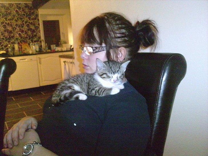 Huskat Helios billede 2