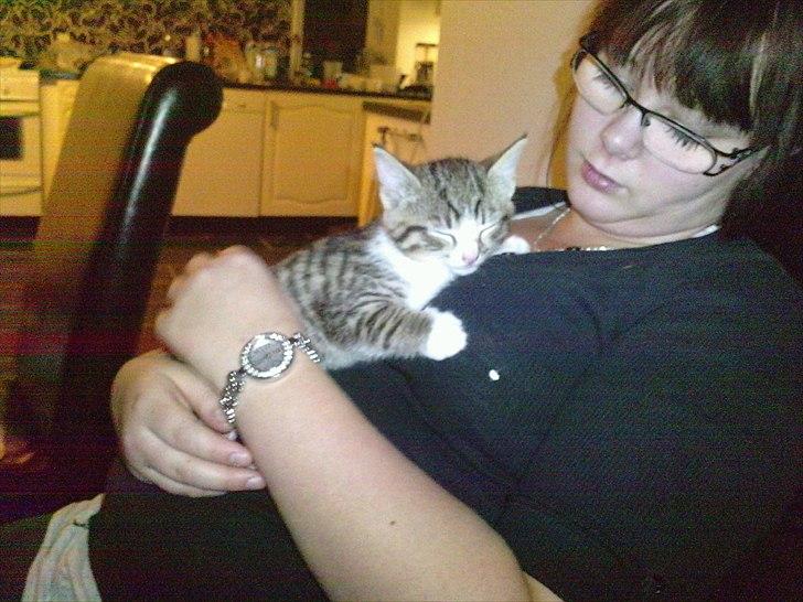 Huskat Helios billede 4