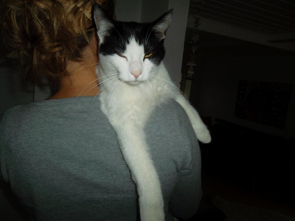 Huskat Mitte - Mitte kæler med mor :) <3 billede 1