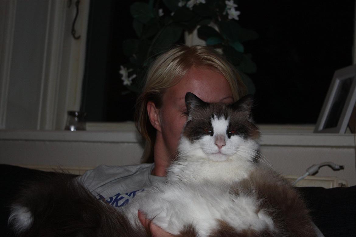 Huskat Nicco - Mmmm Dejligt at lægge i mor´s arm... billede 1