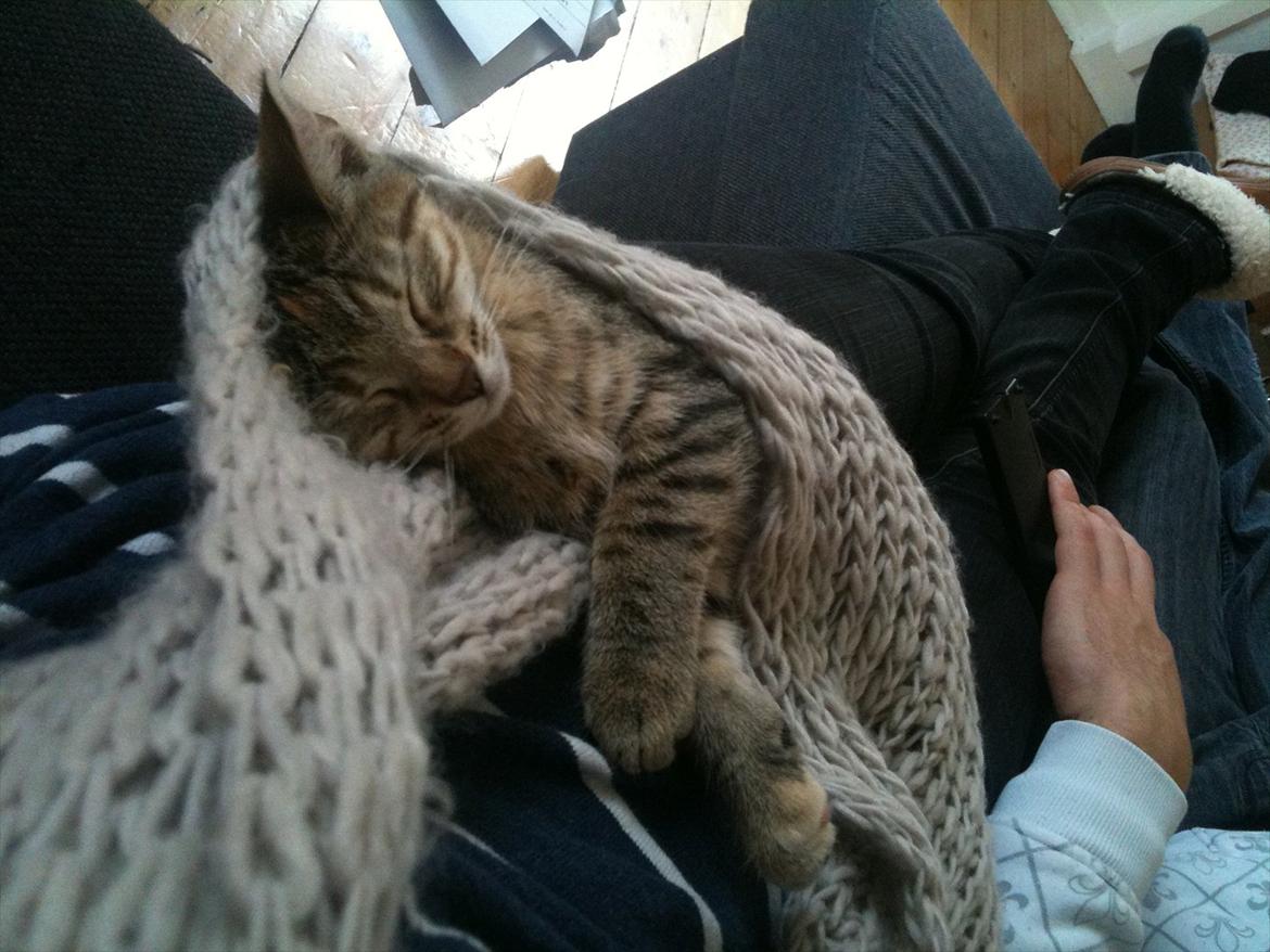 Blanding af racer Sniper billede 11