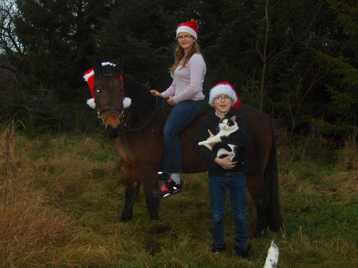 Huskat Bumle - Julekort i 2008 (: billede 2