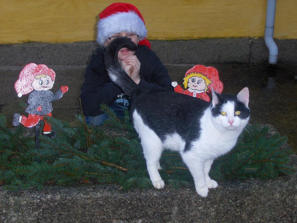 Huskat Bumle - Bumle i fuld figur :D billede 4