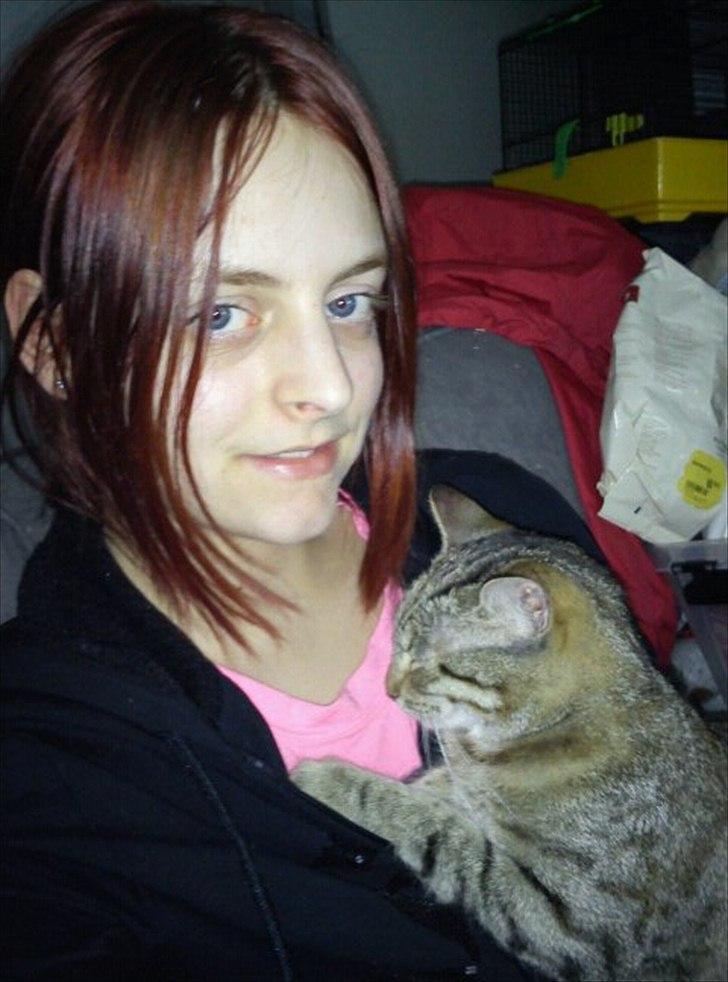 Blanding af racer Paint'Zooy billede 14