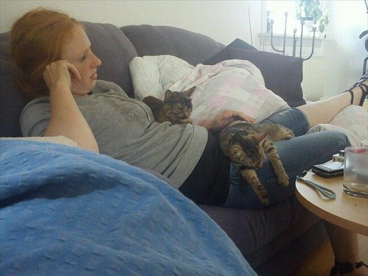 Blanding af racer Paint'Zooy billede 20