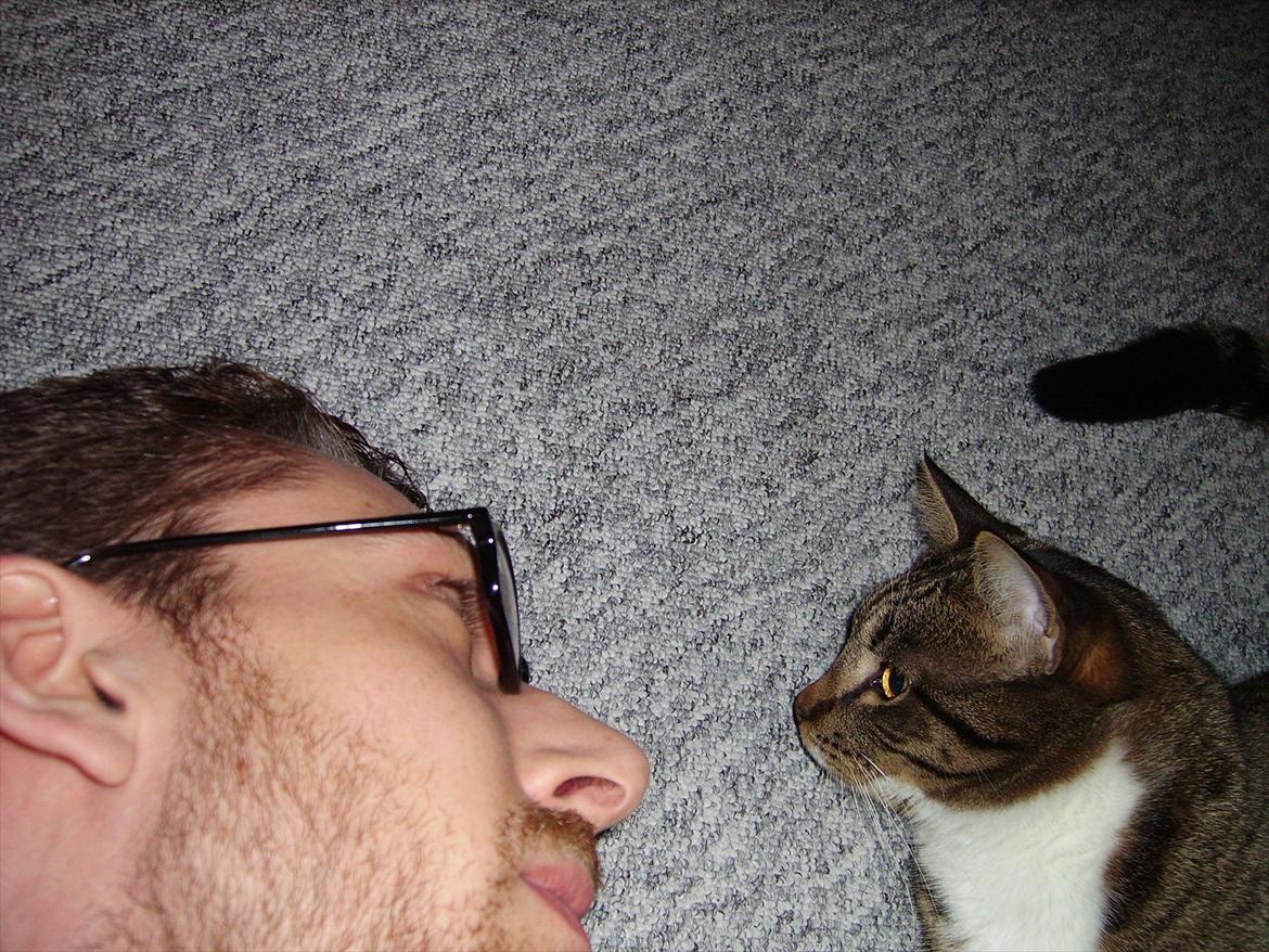 Huskat Chico billede 11