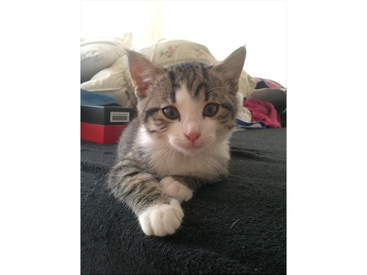 {{currentPhoto.altText}} billede {{currentPhoto.number}}