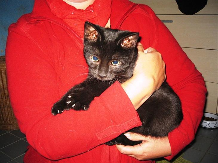 {{currentPhoto.altText}} billede {{currentPhoto.number}}