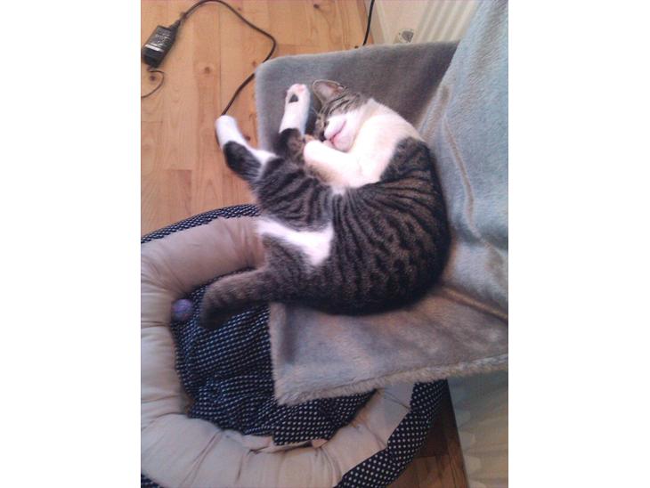 {{currentPhoto.altText}} billede {{currentPhoto.number}}