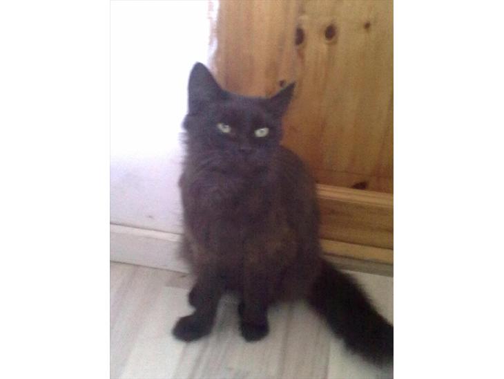 {{currentPhoto.altText}} billede {{currentPhoto.number}}