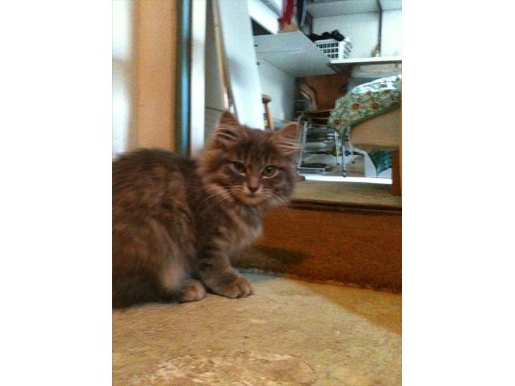 {{currentPhoto.altText}} billede {{currentPhoto.number}}