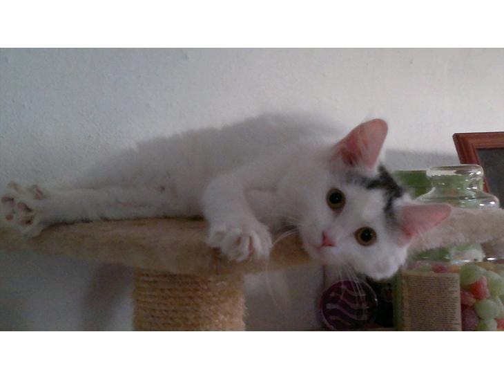 {{currentPhoto.altText}} billede {{currentPhoto.number}}