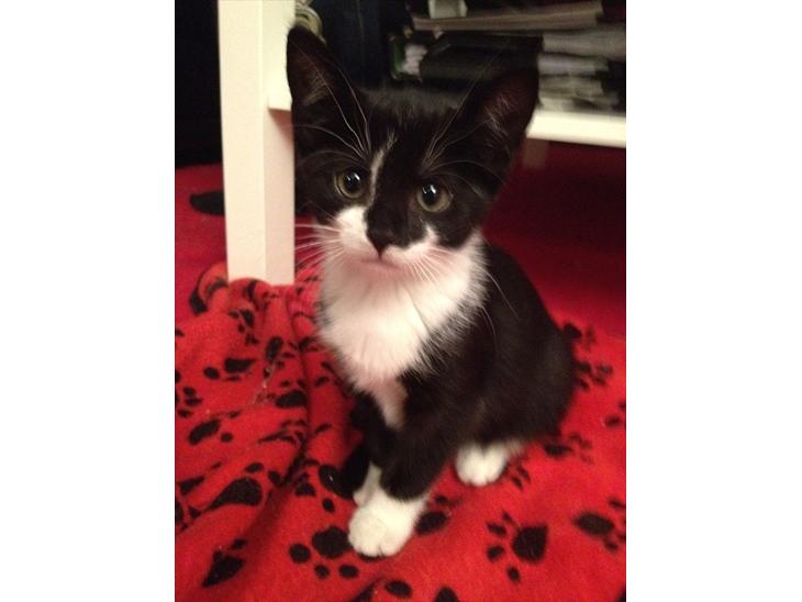 {{currentPhoto.altText}} billede {{currentPhoto.number}}