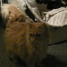 Huskat Missen Du  Elsket!!:-*