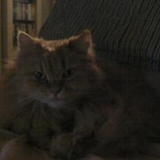 Huskat Missen Du  Elsket!!:-*