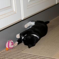 Blanding af racer Mille