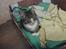 Huskat Jackson R.I.P 21-November-2011