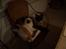 Ragdoll /Hellig Birma Louis