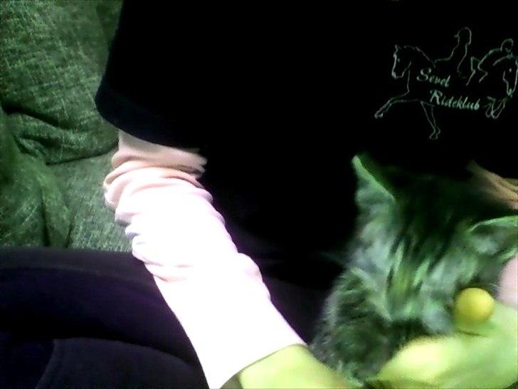 Huskat Lille Mis<3 billede 5